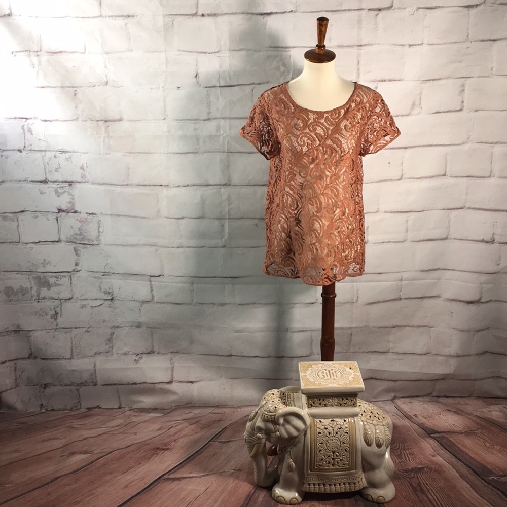 Ann Taylor LOFT Eyelet Lace Short Sleeve Blouse